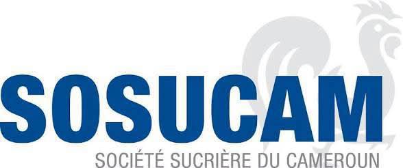 Sosucam: Cameroon’s Sugar Industry Faces a New Ownership Debate.